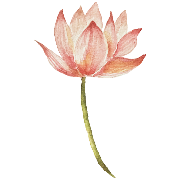 lotus flower with leaf, watercolor