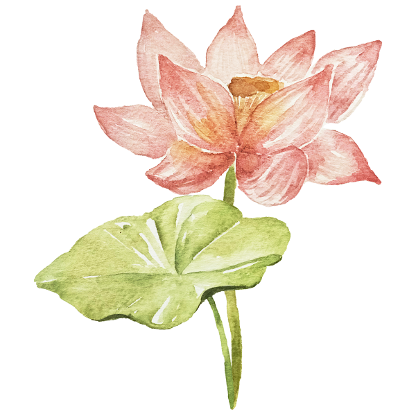 lotus flower with leaf, watercolor