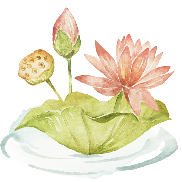 lotus flower with leaf, watercolor